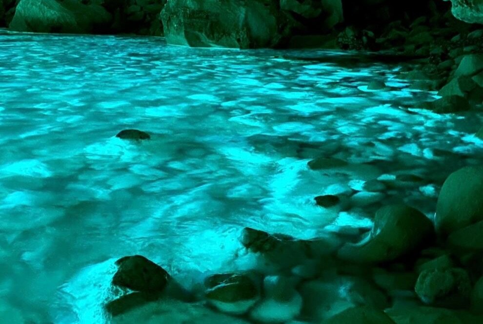 Naya Tours Experience