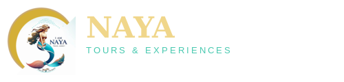 Naya Tours