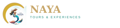 Naya Tours